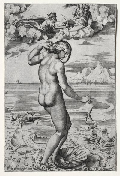 Die Geburt der Venus von Marco Dente