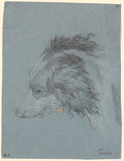 Ein Hundekopf von Marcus Tuscher