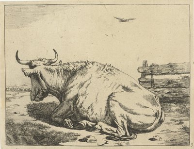 Kuh liegend am Zaun von Marcus de Bye