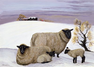 Schafe im Winter von Margaret Loxton
