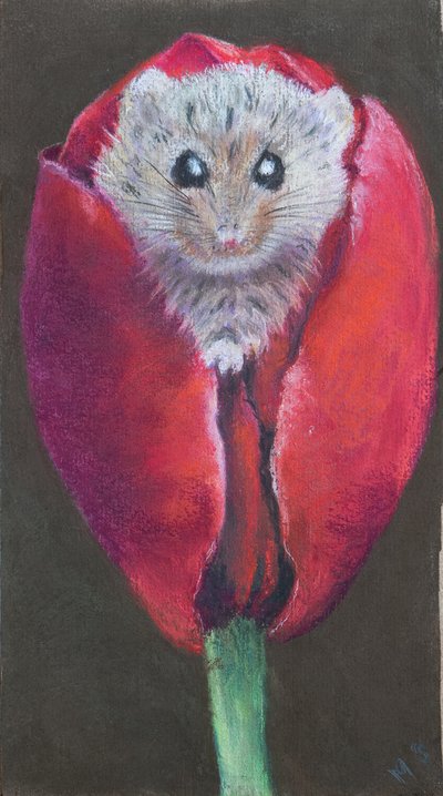 Maus in Tulpe, 2022 von Margo Starkey