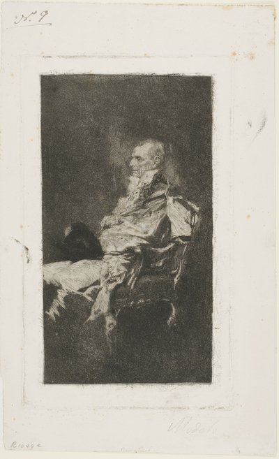 Diplomat von Mariano Fortuny y Marsal