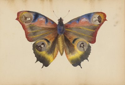 Das Madame B Album von Marie Blanche Hennelle Fournier