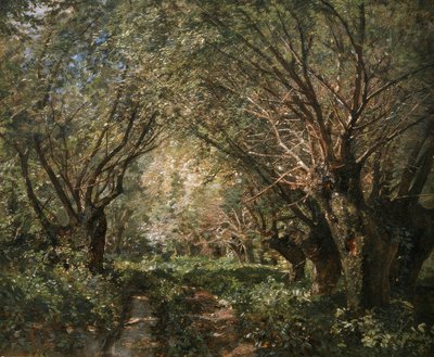 Weidenallee in Stillfried an der March von Marie Egner