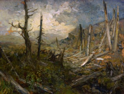 Windbruch auf der Koralpe von Marie Egner