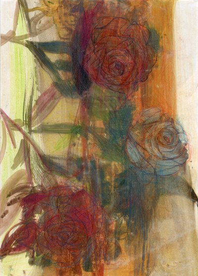 Rosen von Marina Falco