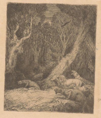 Wilde Tiere im Wald von Marius Bauer