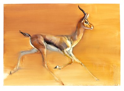 Arabische Gazelle von Mark Adlington