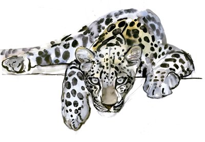 Arabischer Leopard, 2008 von Mark Adlington