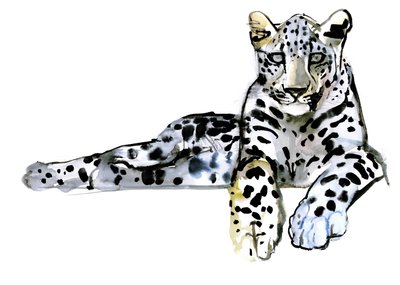 Arabischer Leopard, 2008 von Mark Adlington