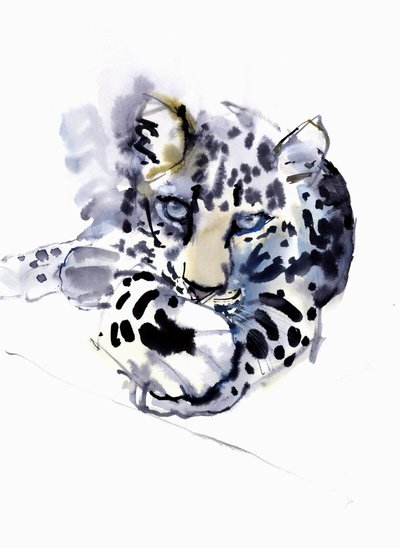 Arabischer Leopard, 2008 von Mark Adlington