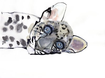 Arabischer Leopard, 2008 von Mark Adlington