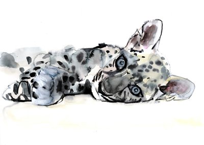 Arabischer Leopardenjunges, 2008 von Mark Adlington