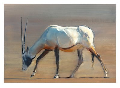 Arabischer Oryx, 2010 von Mark Adlington