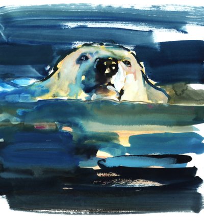 Arktisches Schwimmen von Mark Adlington