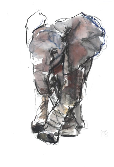 Baby Elefantenstudie, 2018 von Mark Adlington