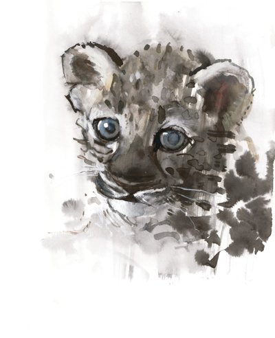 Blaue Augen (Arabischer Leopardenjunges), 2008 von Mark Adlington