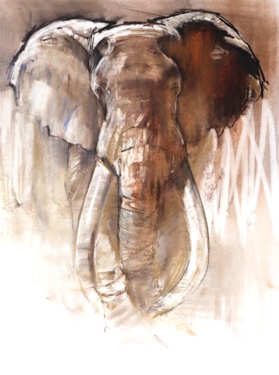 Bullenelefant von Mark Adlington