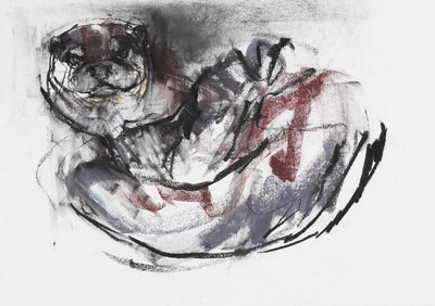 Fischotter von Mark Adlington