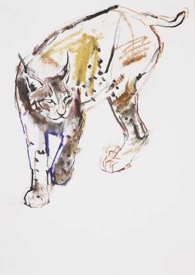 Europäischer Luchs von Mark Adlington