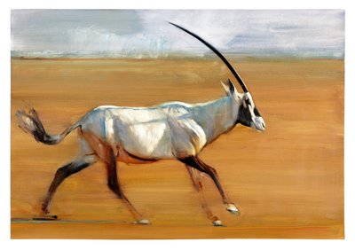 Galoppierender Oryx, 2010 von Mark Adlington