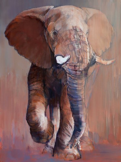 Loisaba-Bulle, 2018 von Mark Adlington