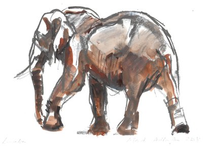 Loisaba Schutzgebiet, 2018 von Mark Adlington