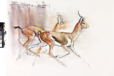 Laufende arabische Gazellen, 2010 von Mark Adlington