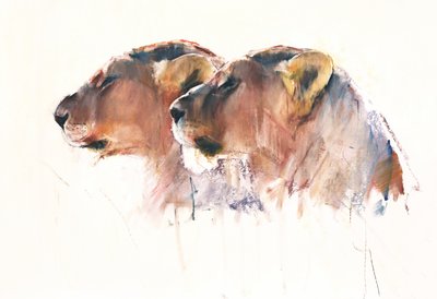 Schwestern, Etosha von Mark Adlington