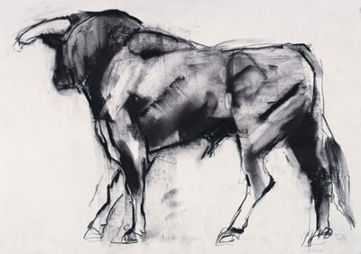 Toro Azul, Studie von Mark Adlington
