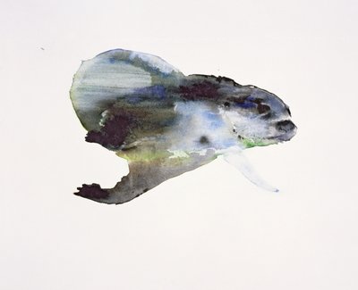Unterwasser von Mark Adlington