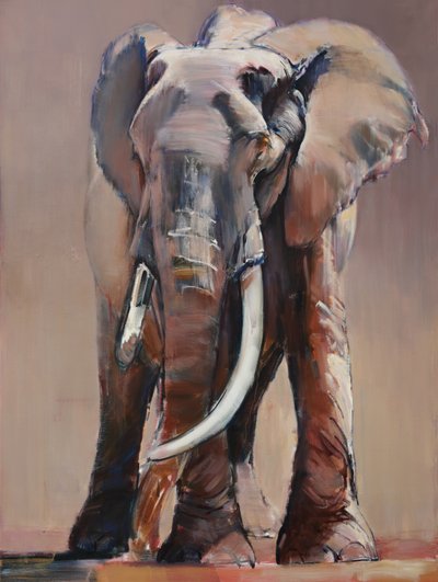 Ehrwürdige alte Matriarchin, 2018 von Mark Adlington