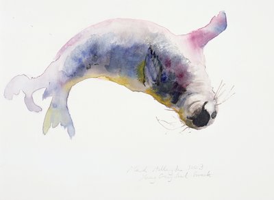 Junger Kegelrobbe, Gweek, 2003 von Mark Adlington
