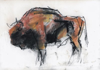 Zubre, Bialowieza von Mark Adlington