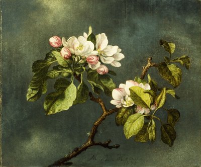 Apfelblüten von Martin Johnson Heade