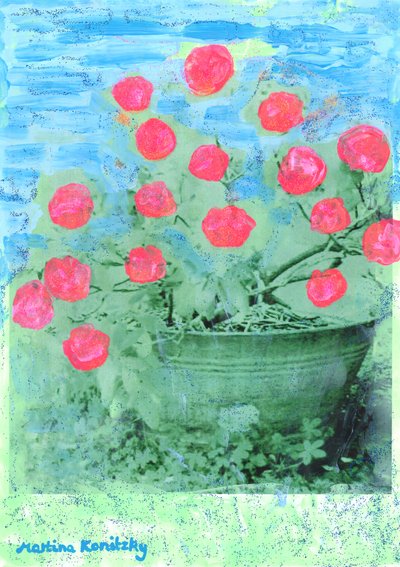 Rhododendron von Martina Konitzky