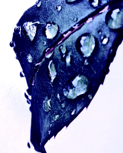 Wassertropfen Blau von Martina Konitzky