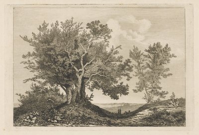 Landweg zwischen zwei Baumgruppen von Martinus Antonius Kuytenbrouwer jr.
