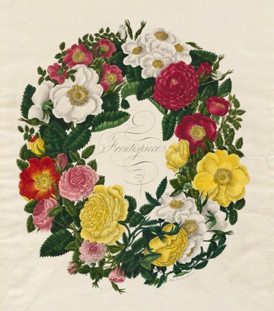 Ein Kranz aus Rosen von Mary Lawrence