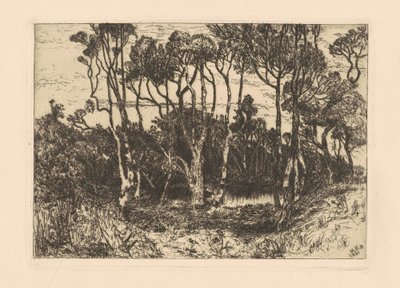 Einsamkeit von Mary Nimmo Moran