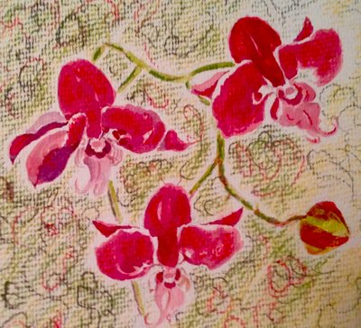 Orchideen von Mary Smith