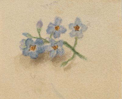 Ohne Titel, 1874 von Mary Vaux Walcott