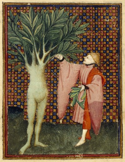 Apollo und Daphne von Master of the Cité des Dames