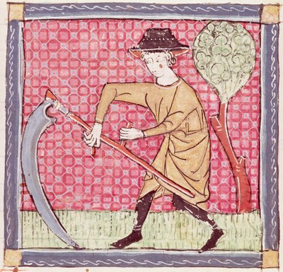 Fol.58v Juni: Heuernte von Matfre Ermengaut