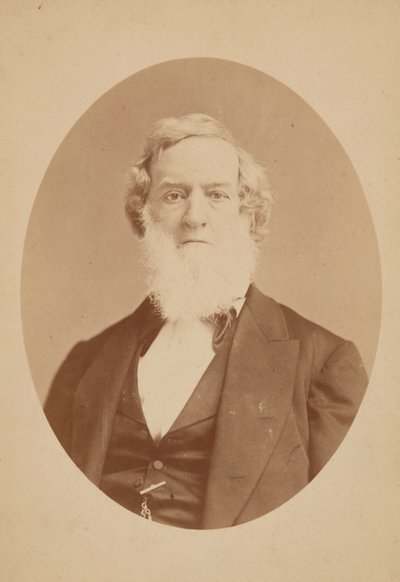 Kabinettkarte von Gideon Welles, 1860-1878 von Mathew Brady