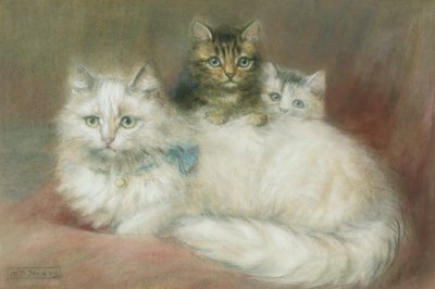 Eine Perserkatze und ihre Kätzchen von Maud D. Heaps