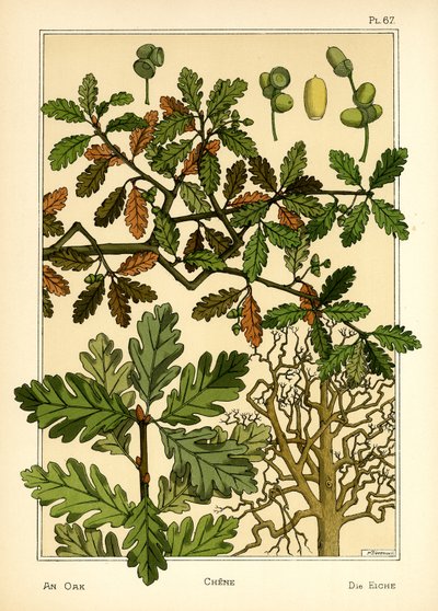Die Eiche von Maurice Pillard Verneuil
