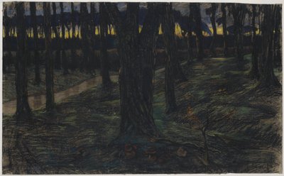 Waldansicht bei Sonnenuntergang von Maurits van der Valk