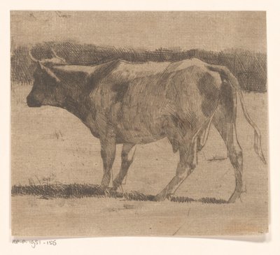 Kuh auf einer Weide von Maurits van der Valk