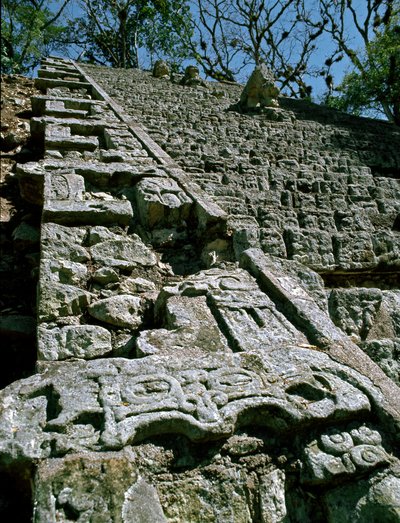 Ansicht der Hieroglyphentreppe, 743 n. Chr. von Mayan